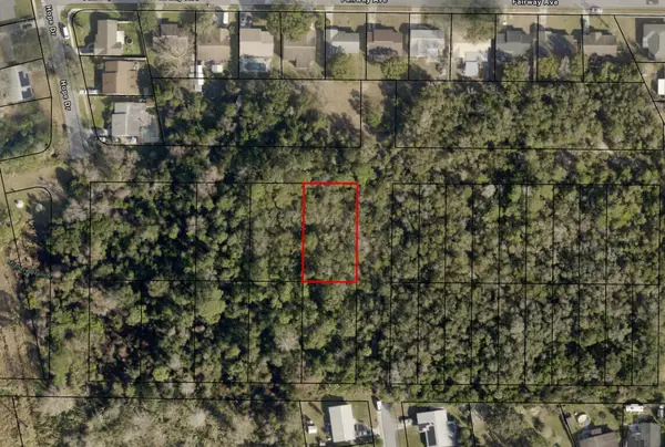 0 Ave O Avenue, Ormond Beach, FL 32174