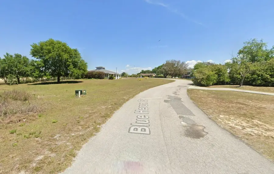 Tbd Blue Heron, Clermont, FL 34711 - #2