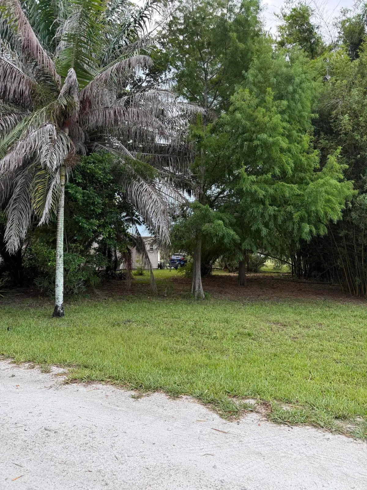 345 Citrus Drive, Loxahatchee Groves, FL 33470 - #1
