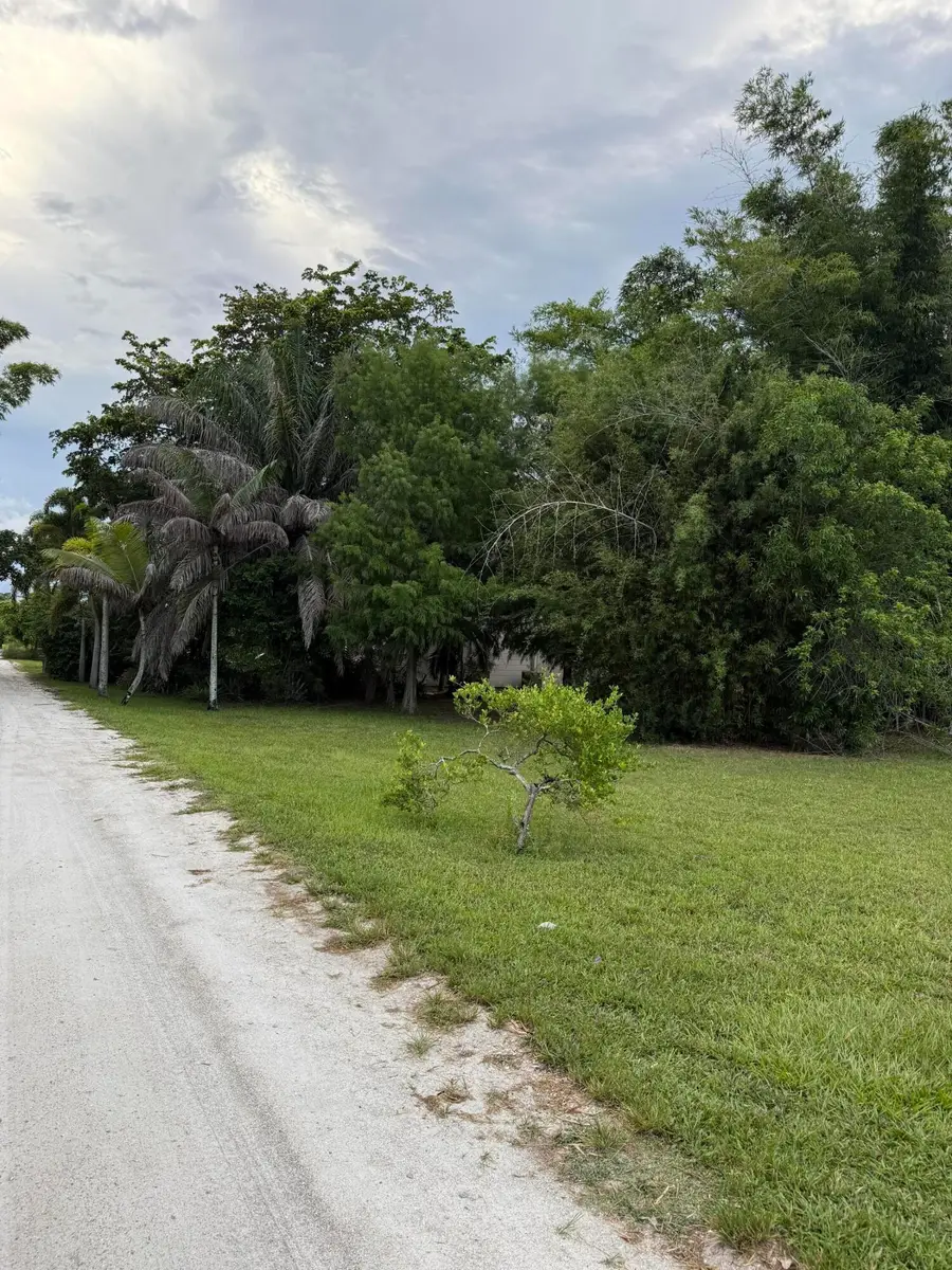 345 Citrus Drive, Loxahatchee Groves, FL 33470 - #2