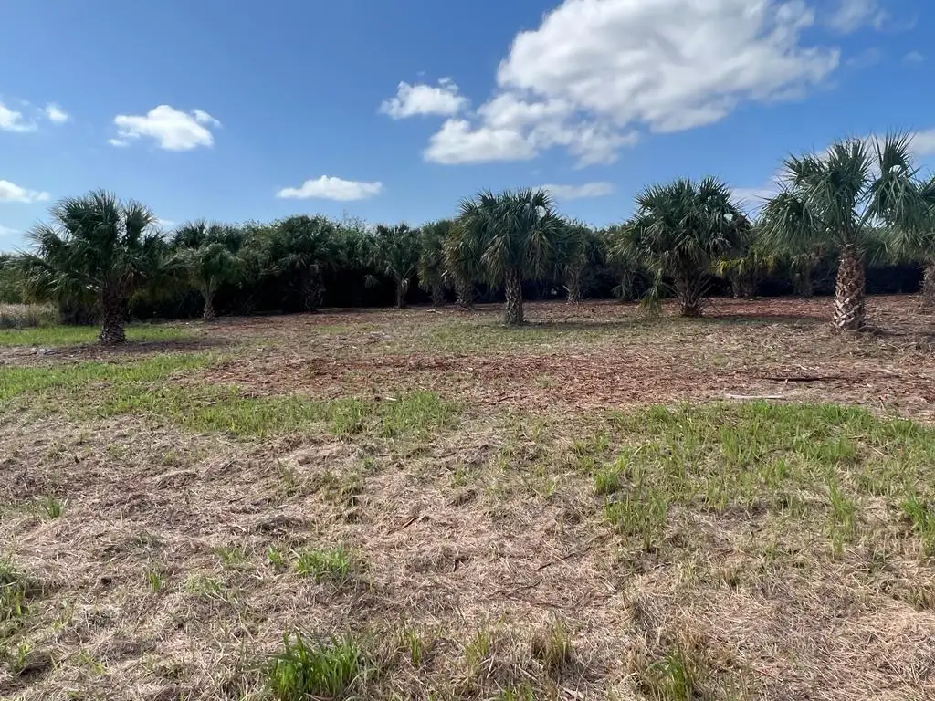 2182 Sparta Avenue Sw, Palm Bay, FL 32908 - #1