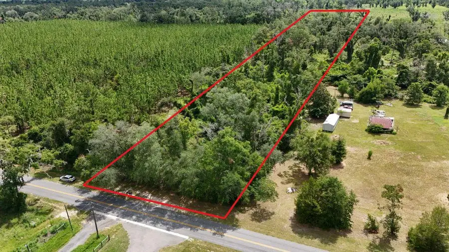 0 185th Road, Live Oak, FL 32060 - #3