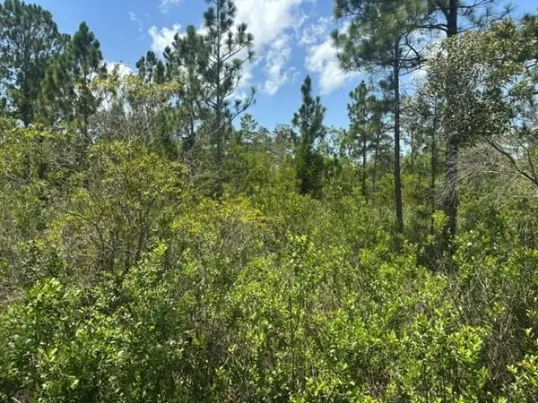 0 Holopaw Groves Road, St Cloud, FL 34772