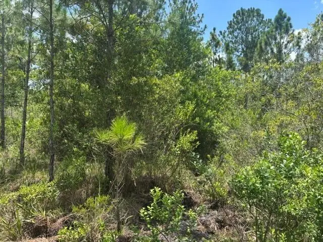 0 Holopaw Groves Road, Saint Cloud, FL 34772 - #2