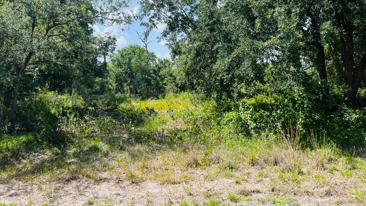 3155 Miller Avenue, Lake Placid, FL 33852 - #1