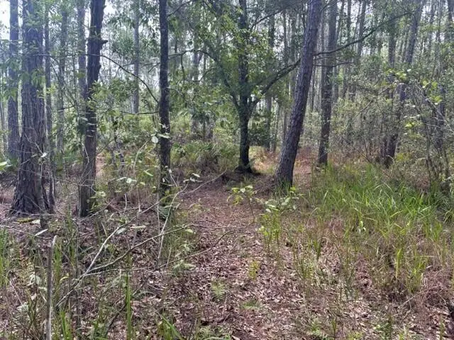 0 Water Road, Groveland Mascotte, FL 33868 - #3