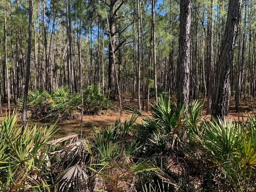 0 Poyner Road, Polk City, FL 33868 - #2