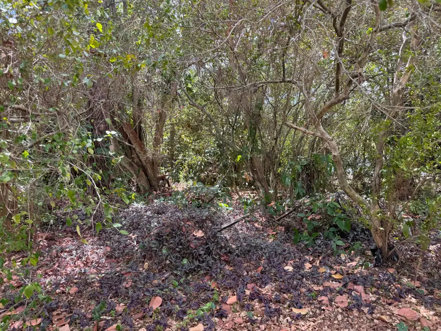 3358 S Jog Road, Greenacres, FL 33467 - #2