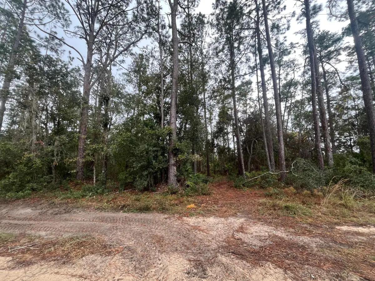 Tbd Susan Street, Interlachen, FL 32148 - #1