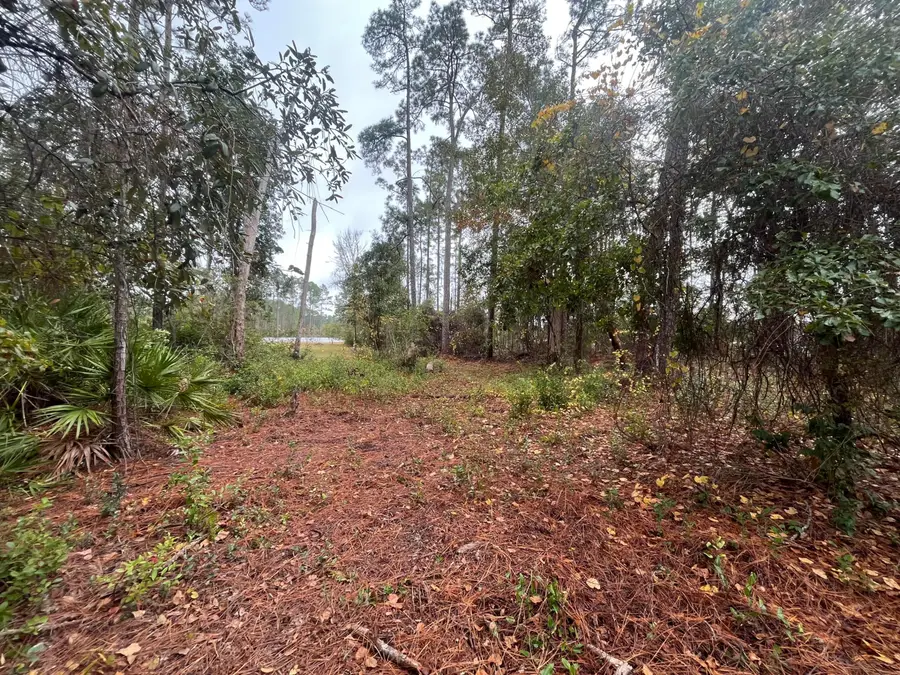 Tbd Susan Street, Interlachen, FL 32148 - #2