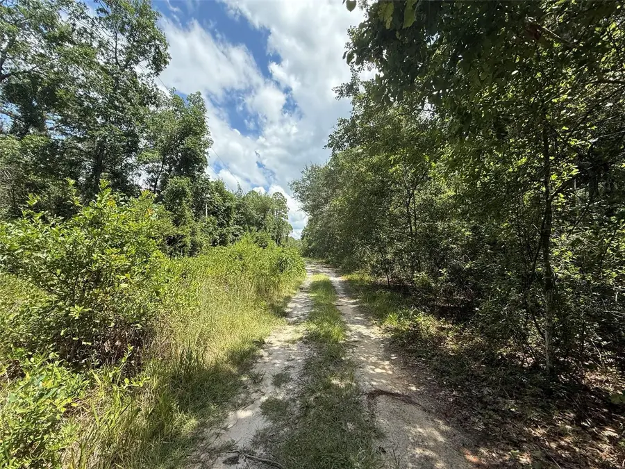 313 Calhoun Avenue, Florahome, FL 32140 - #3