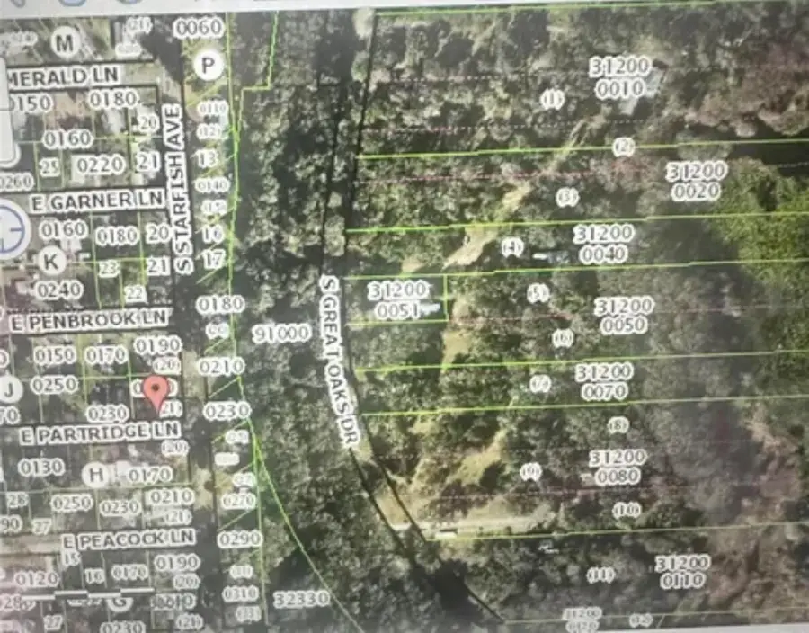 8119 E Partridge Lane, Floral City, FL 34436 - #2