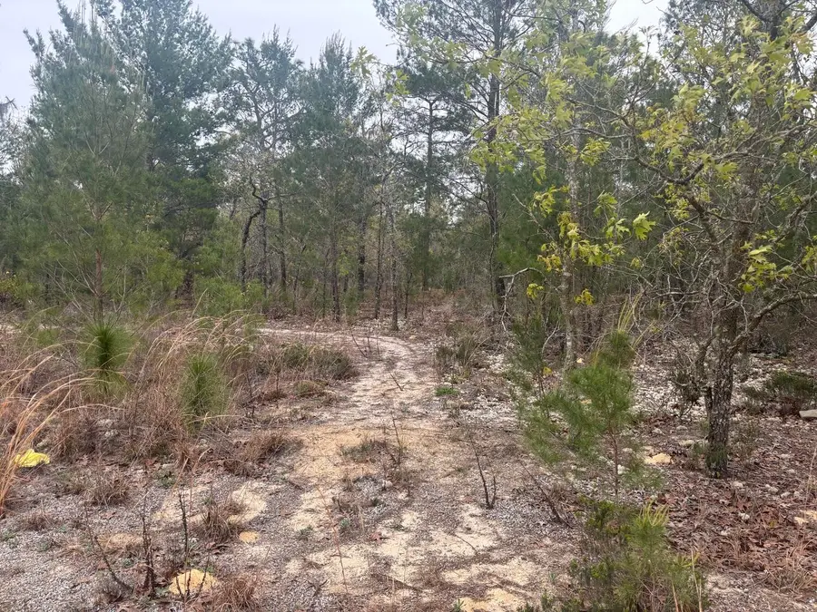 0 Grey Street, Interlachen, FL 32148 - #3