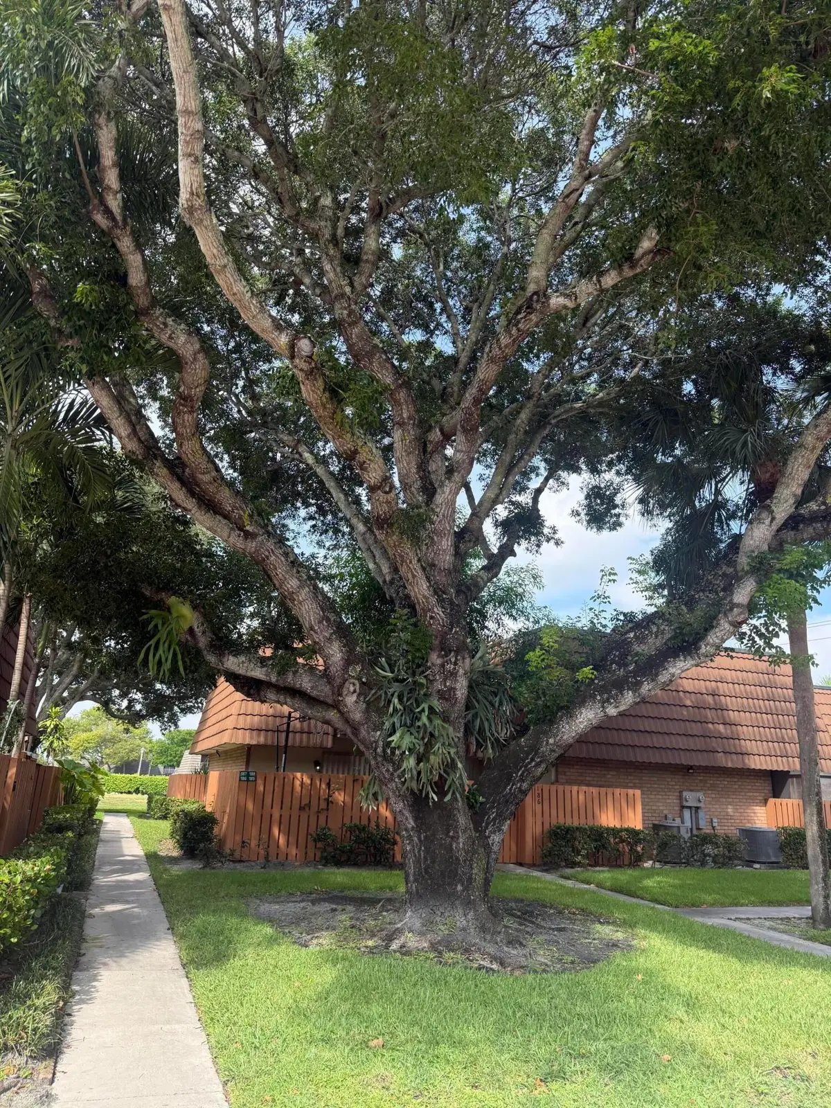 187 Charter Way, West Palm Beach, FL 33407 - #1