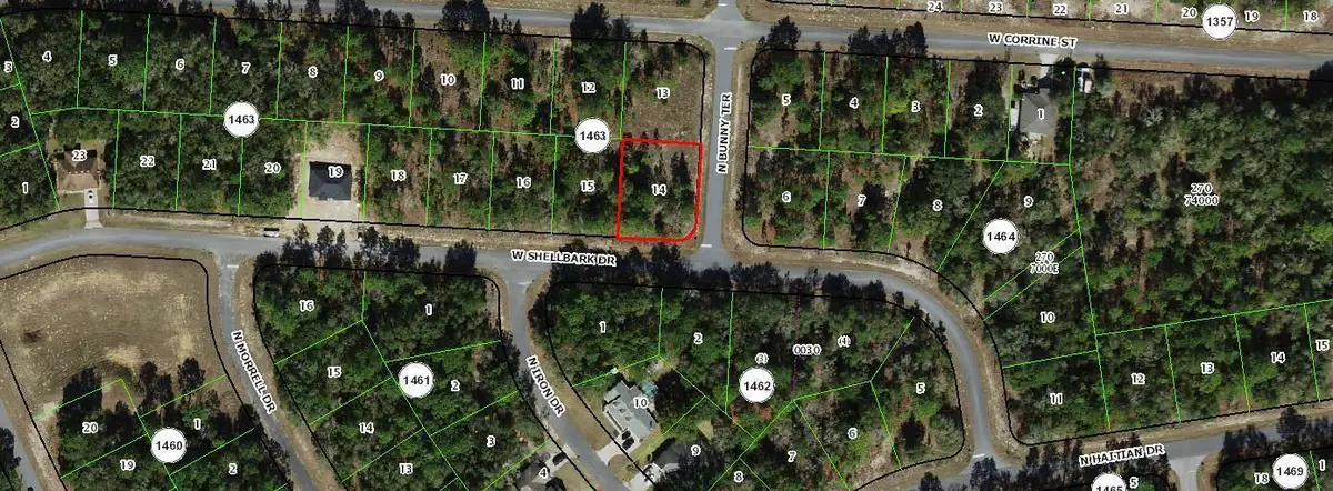 1975 W Shellbark Drive, Dunnellon, FL 34434 - #1