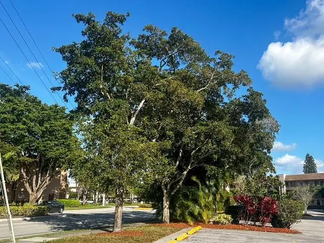 10332 Sunrise Lakes Boulevard #111, Sunrise, FL 33322 - #1