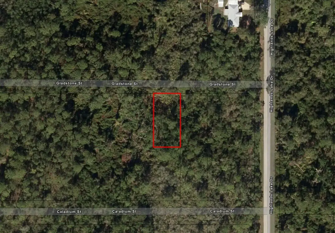 1521 Gladstone Street, Lake Placid, FL 33852 - #1