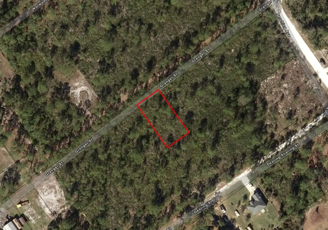 1017 Granger Street, Lake Placid, FL 33852 - #1