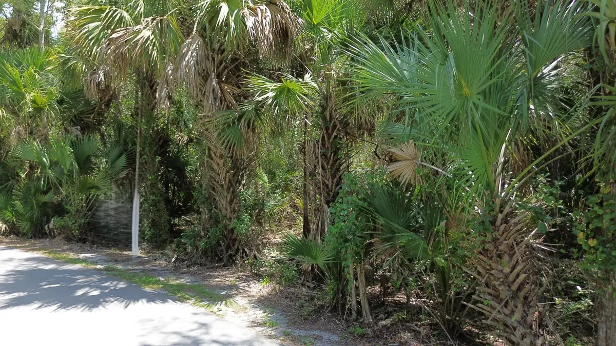 2256 Fawn Drive, Loxahatchee, FL 33470 - #1