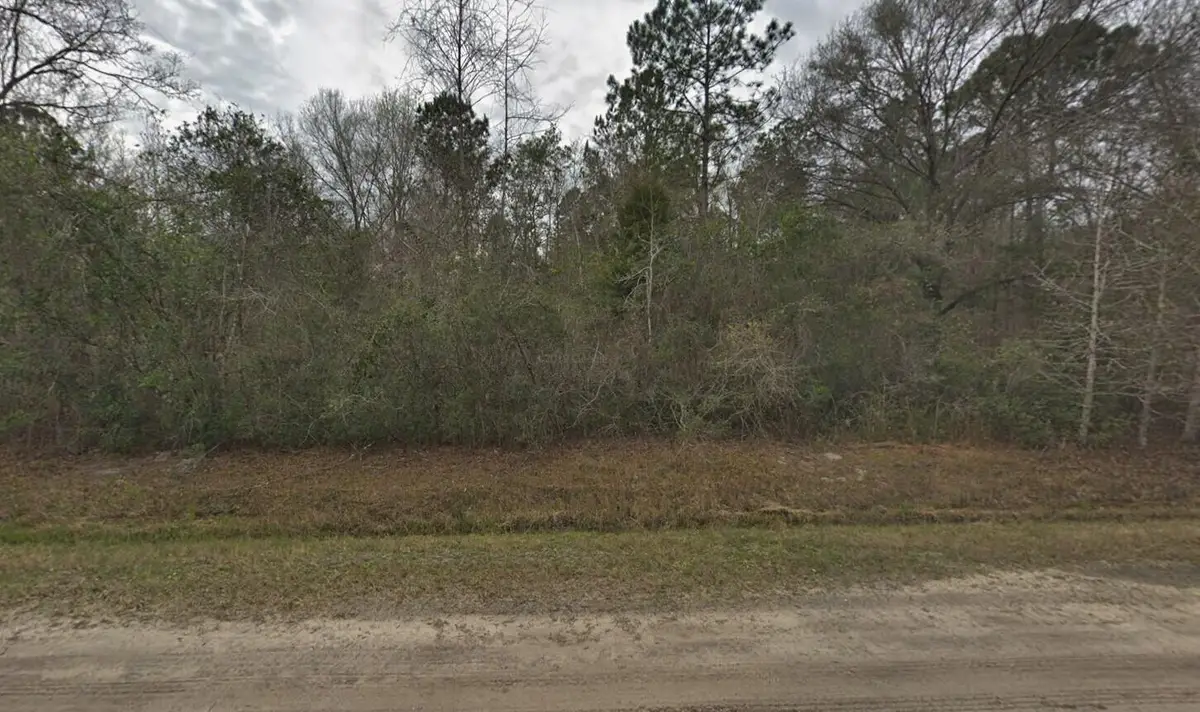 10135 Nikolich Avenue, Hastings, FL 32145 - #1