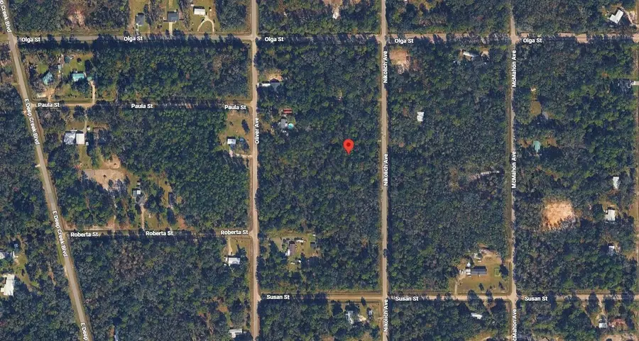 10135 Nikolich Avenue, Hastings, FL 32145 - #3