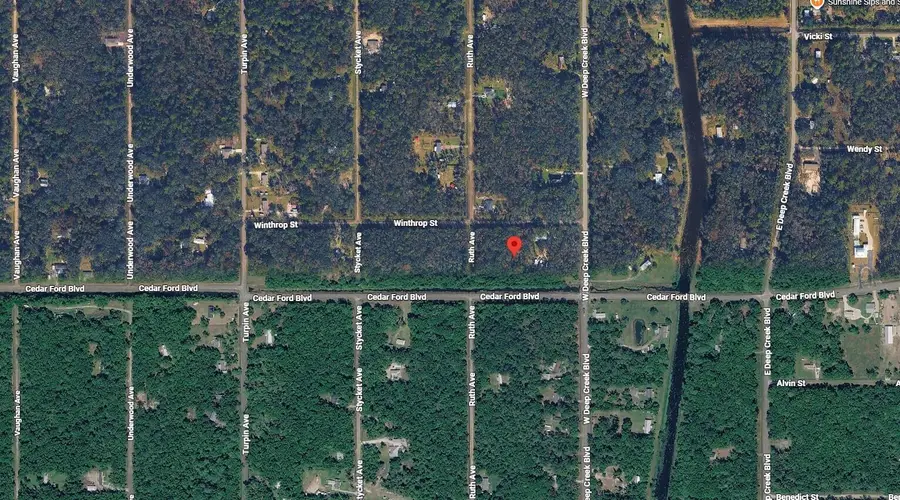 4816 Cedar Ford Boulevard, Hastings, FL 32145 - #3