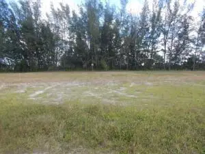 3905 NE 9th Avenue, Cape Coral, FL 33909 - #3