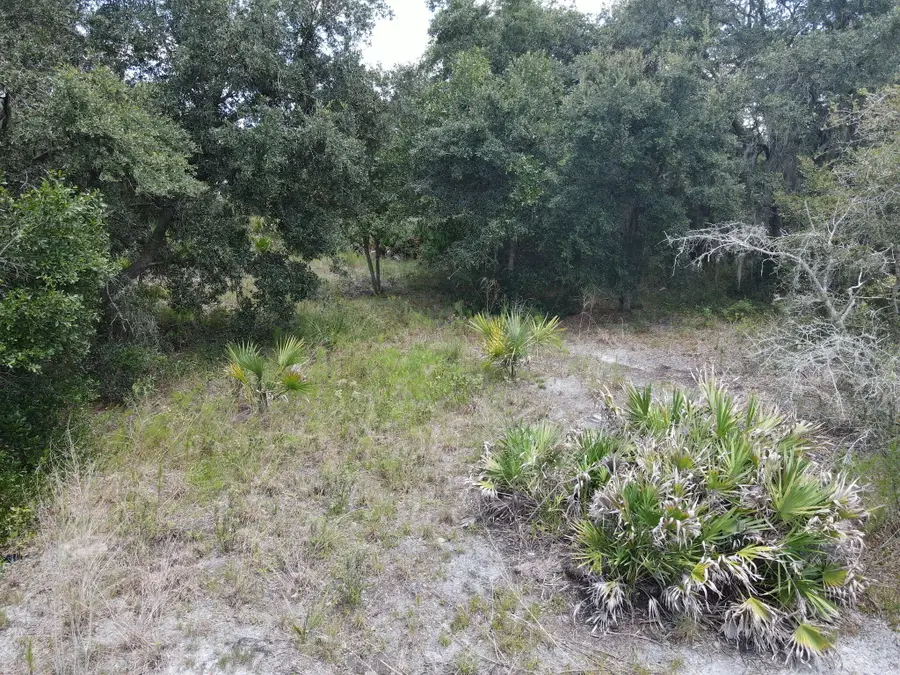 19096 NW 302nd Street, Okeechobee, FL 34972 - #2