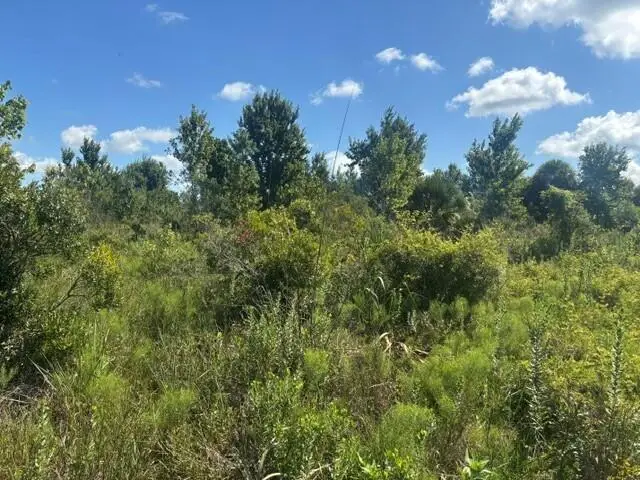0 NW 312th Street, Okeechobee, FL 34972 - #1