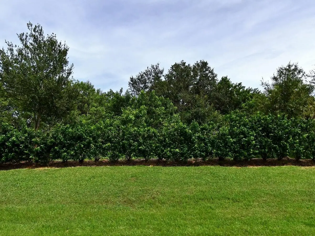 4341 Winding Place, Fort Pierce, FL 34981 - #1
