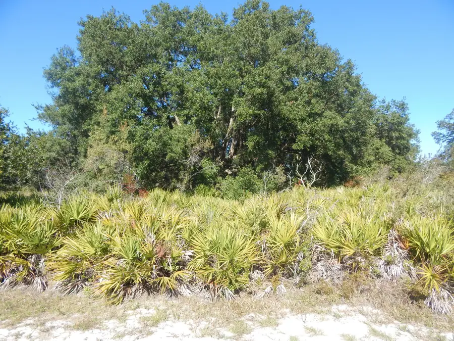 0 Park Avenue, Indian Lake Estates, FL  - #3