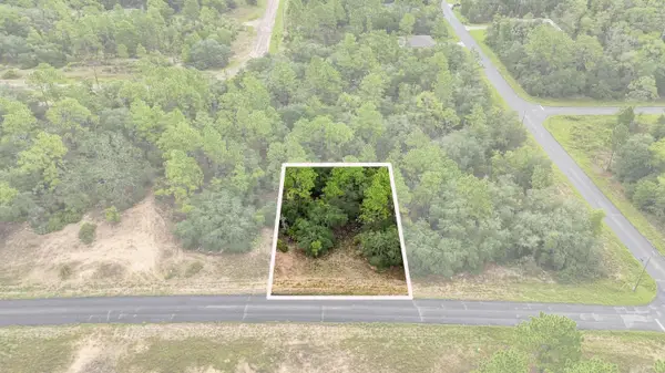6599 N Airmont Drive, Dunnellon, FL 34433