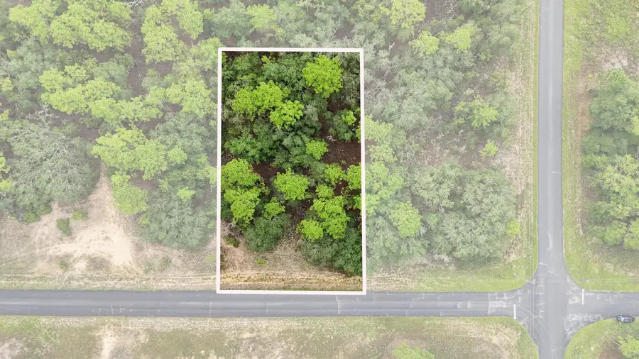 6599 N Airmont Drive, Dunnellon, FL 34433 - #2