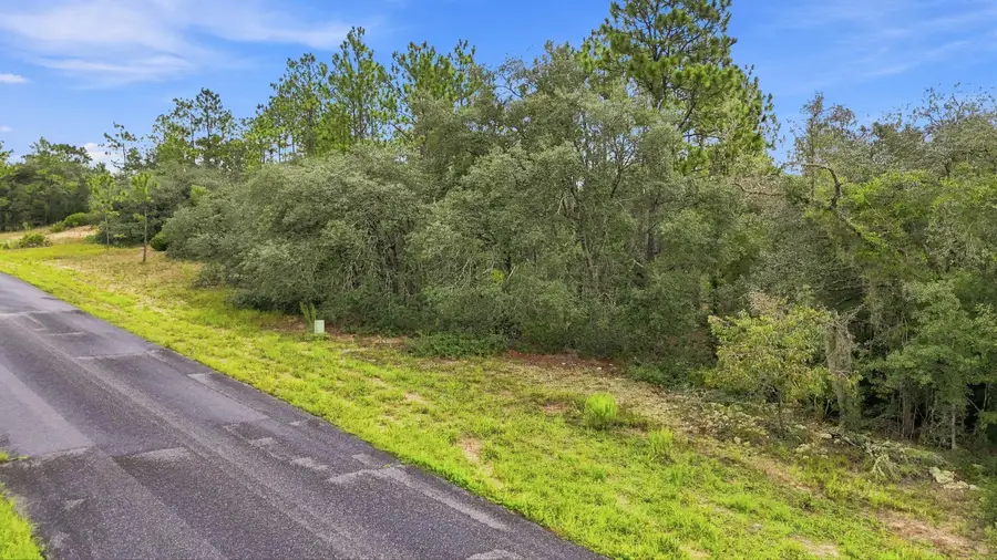 6599 N Airmont Drive, Dunnellon, FL 34433 - #3