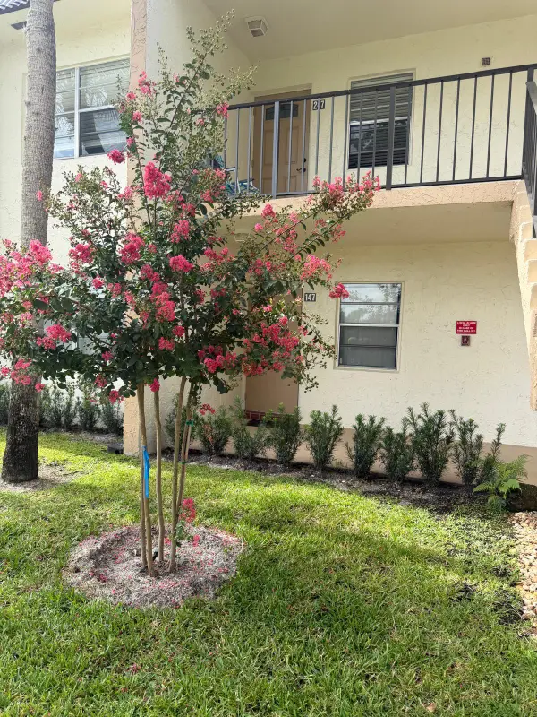 150 Lake Meryl Drive #247, West Palm Beach, FL 33411