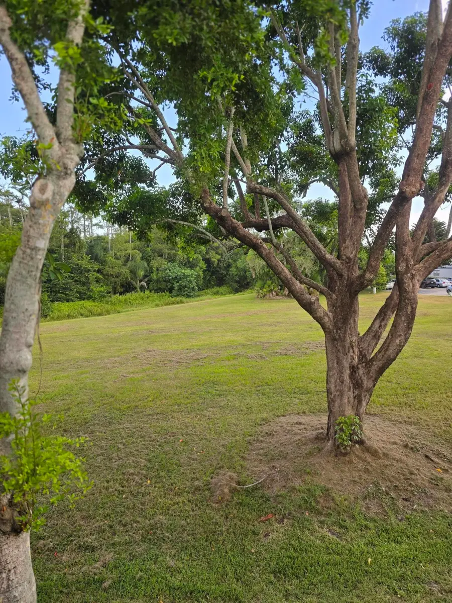 667 Saxony N, Delray Beach, FL 33446 - #2
