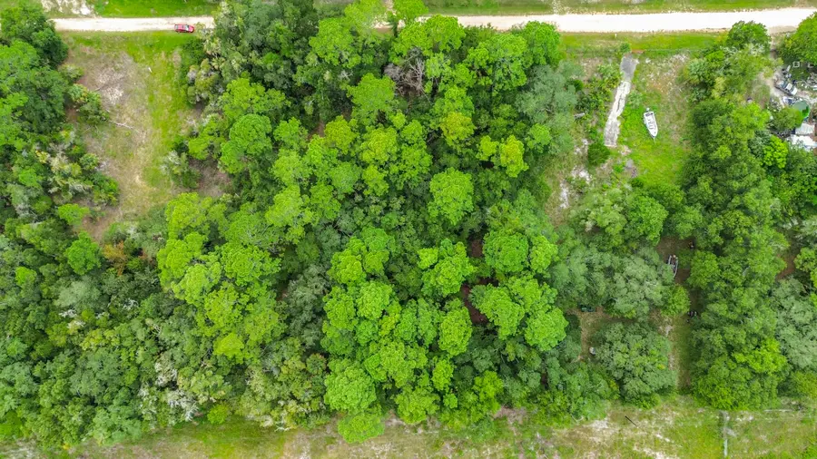 0 Rose Avenue, Inglis, FL  - #2