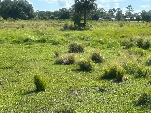 Tbd Mose Grade Road, Okeechobee, FL 34974 - #3