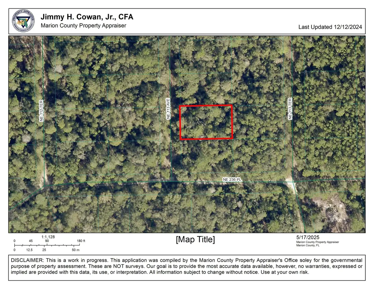 00 NE 113th Avenue, Fort McCoy Anthony, FL 32134 - #1