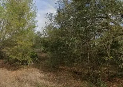 Tba Lenore Avenue, Interlachen, FL 32148 - #1