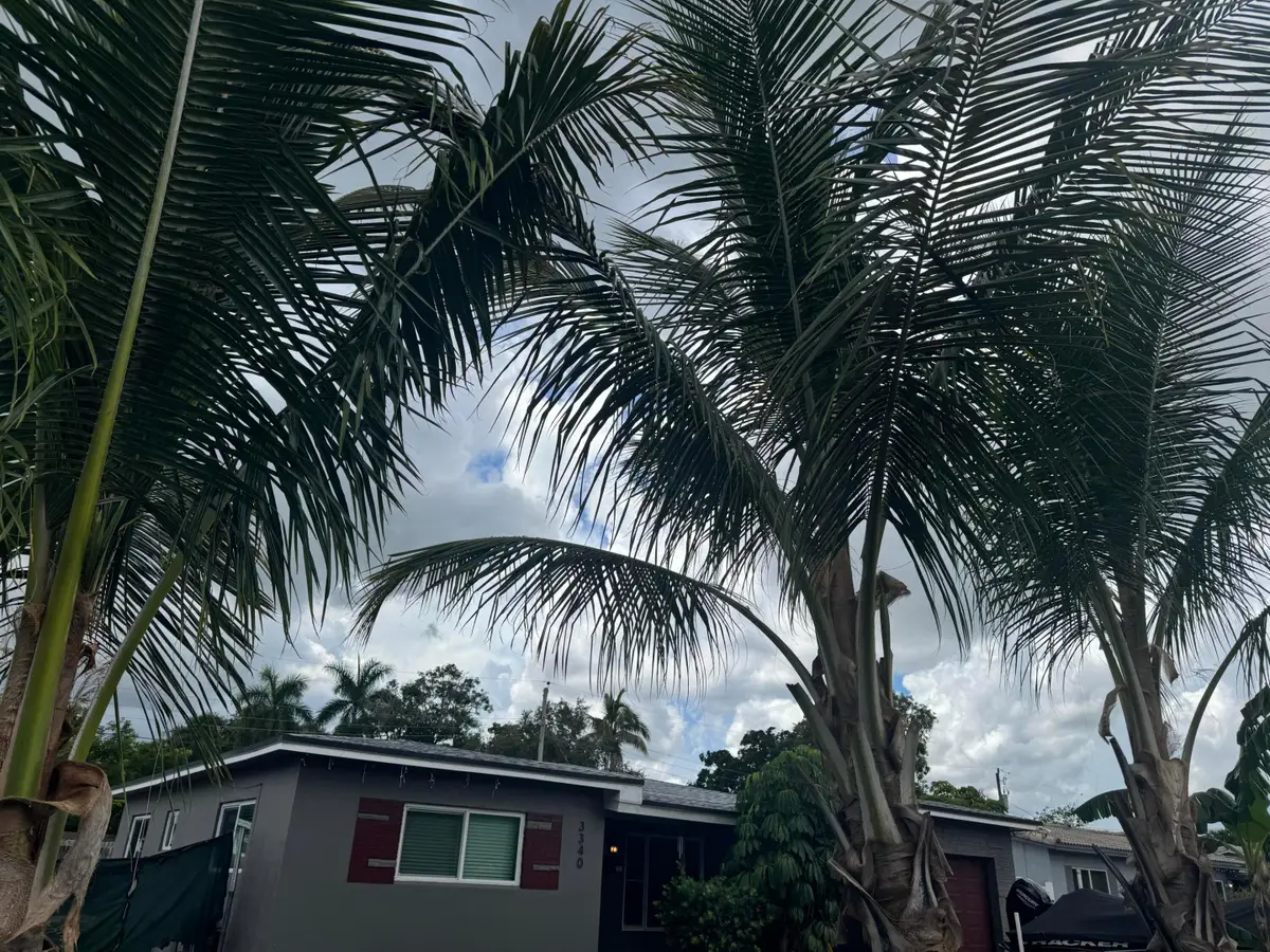3340 SW 20th Court, Fort Lauderdale, FL 33312 - #1