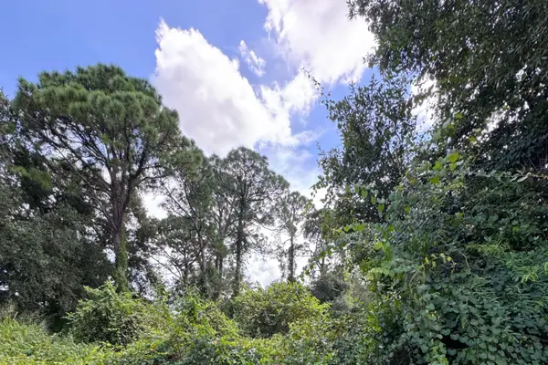 6801 Deland Avenue, Fort Pierce, FL 34951