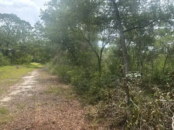 2225 W Wells Road, Avon Park, FL 33825