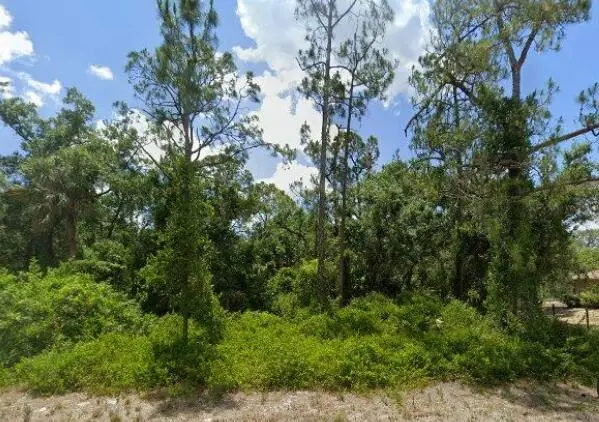 2117 Irving Avenue, Alva, FL 33920 - #1