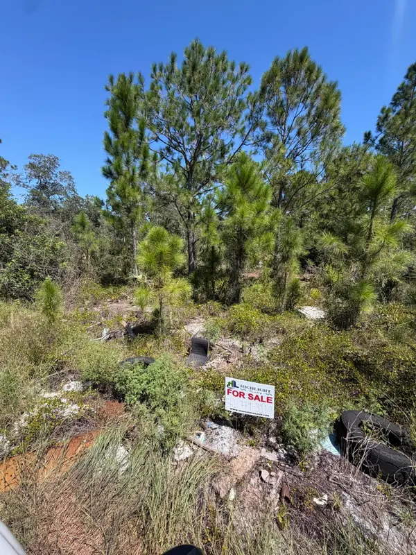 375 Concert Drive, Lake Placid, FL 33852