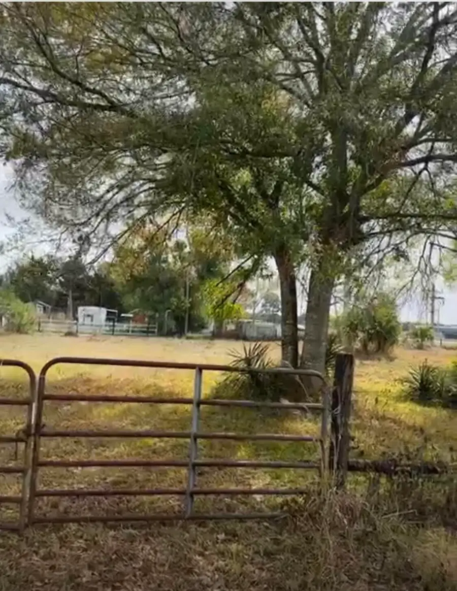 854 NE 42nd Terrace, Okeechobee, FL 34972 - #3