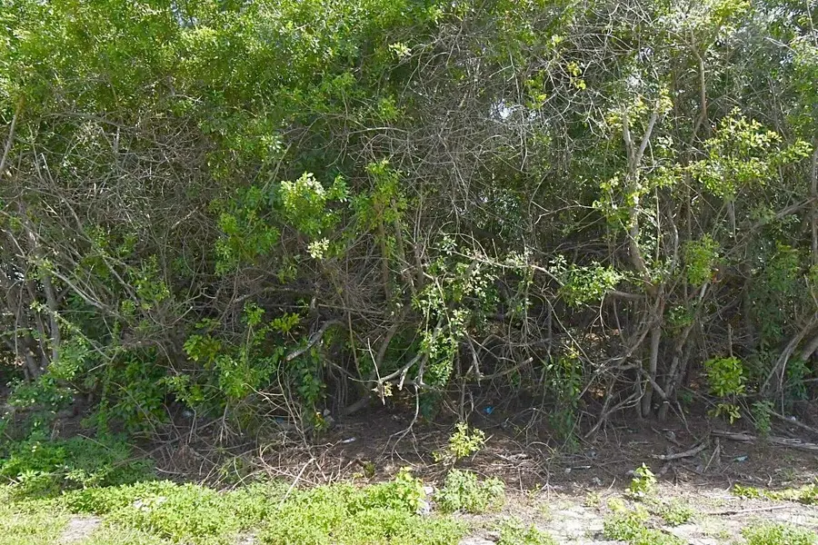 1120 SW Jericho Avenue, Port Saint Lucie, FL 34953 - #2