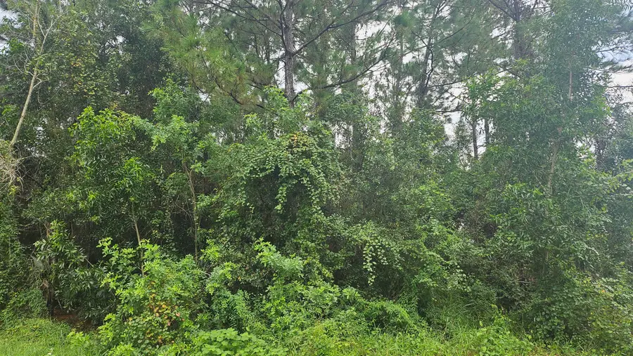 5439 NW Thyer Circle, Port Saint Lucie, FL 34983 - #2