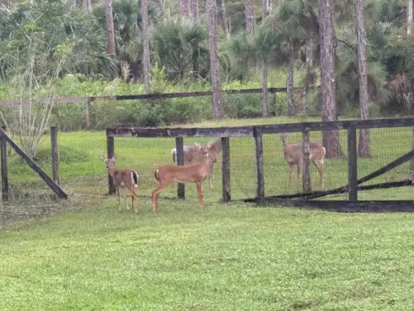 5637 Cougars Prowl, Lake Worth, FL 33449