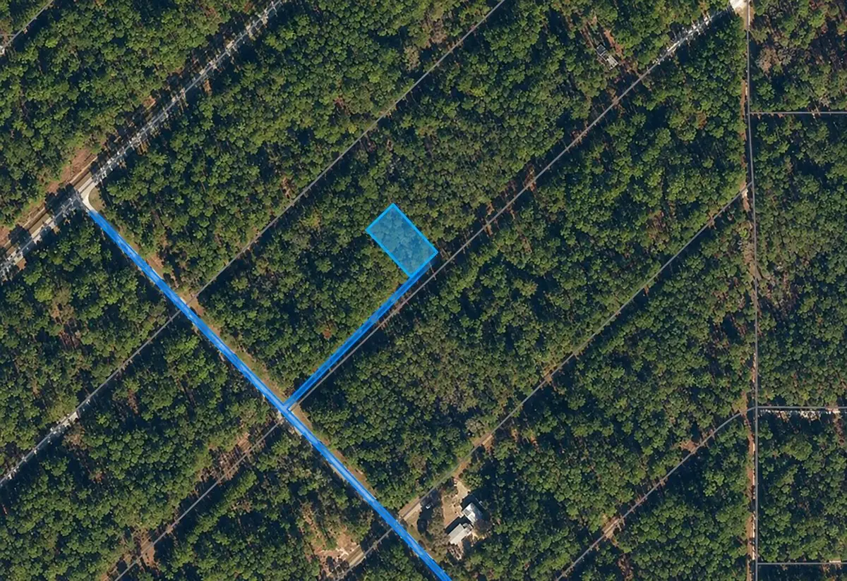 210 SE 2nd Street, Georgetown, FL 32139 - #1